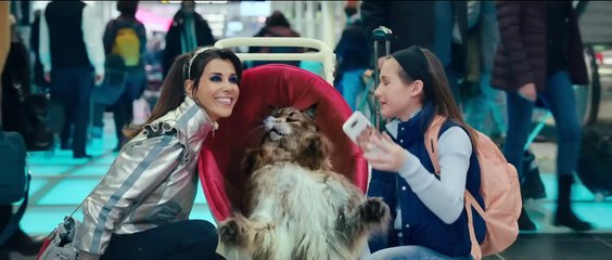 Chien et Chat (2024)