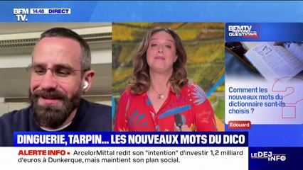 Comment les nouveaux mots du dictionnaire sont-ils choisis? BFMTV répond à vos questions