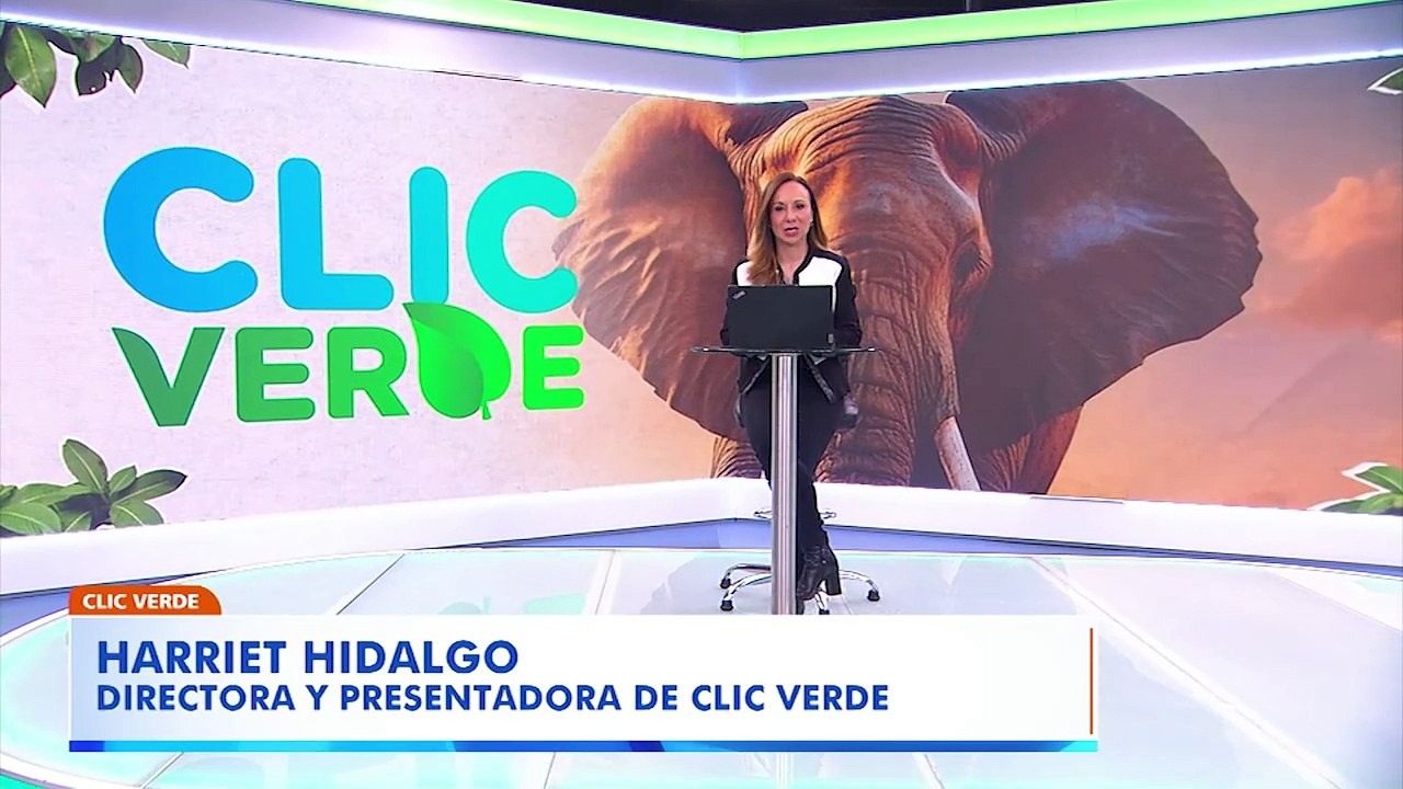 Medio ambiente y equidad