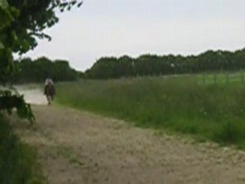 9 mai 2008 - galop piste Armen