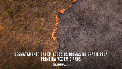 Desmatamento cai em todos os biomas do Brasil pela primeira vez em 6 anos