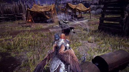 Elden Ring Nightreign - il Guardiano