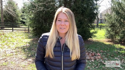 Meet Goodnight Olive's First Foal