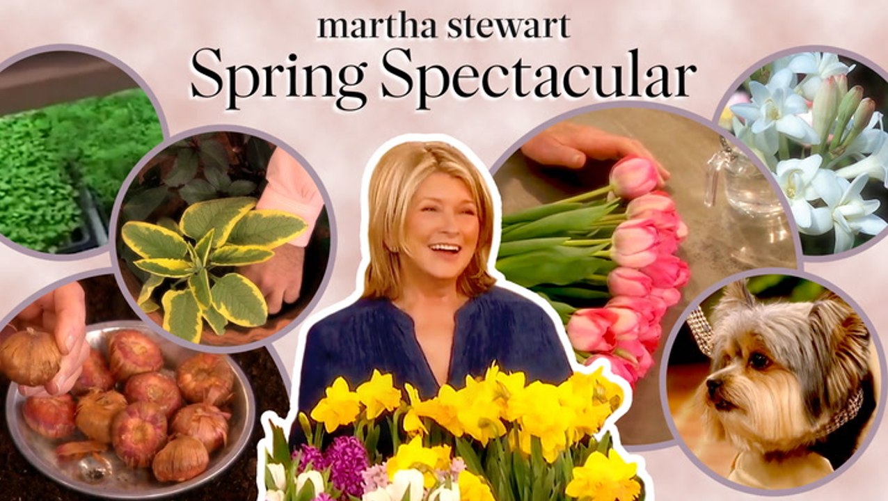 Martha Stewart's Spring Spectacular
