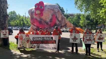 Saint-Etienne : un poulet géant pour dénoncer les pratiques de Grand Frais