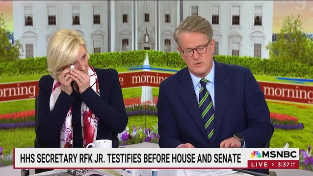 MSNBC host loses it laughing over RFK swimming in sewage-filled creek