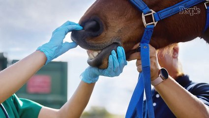 Cause of Death Revealed for Nevada Veterinarian Found Dead After Video of Him Allegedly Kicking Horse Went Viral: Reports