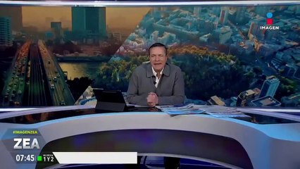 Perdió a su gatito y ahora supuestos rescatistas le piden dinero para devolverselo