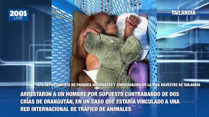 #EnUnMinuto │15 de mayo de 2025: Los acontecimientos más relevantes del mundo