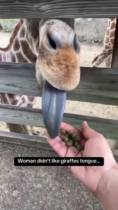 That is HUGE 😻