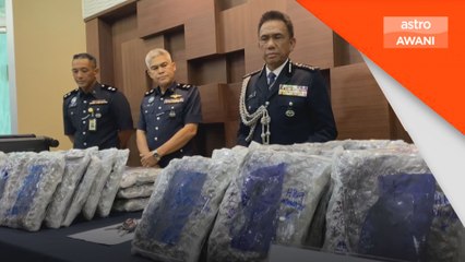 Polis Kedah rampas bunga ganja bernilai RM1.6 juta