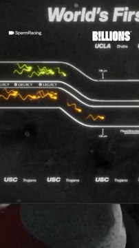 🤯 Ils organisent des courses de spermatozoïdes ⁉️
