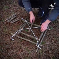 Ensure your food's safety while camping in the woods
