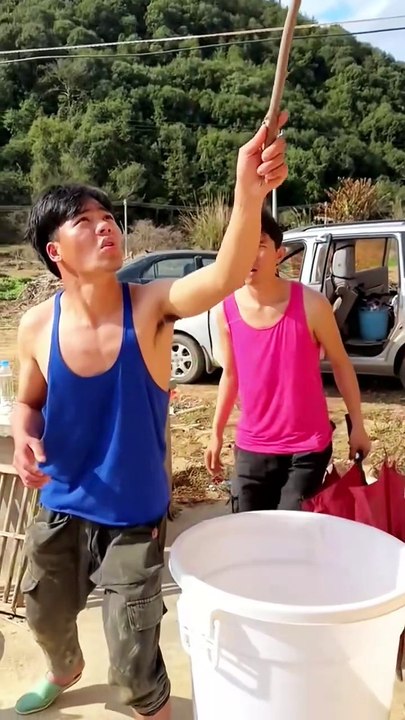 Find 'top 5 funny clips' on TikTok - TikTok Search