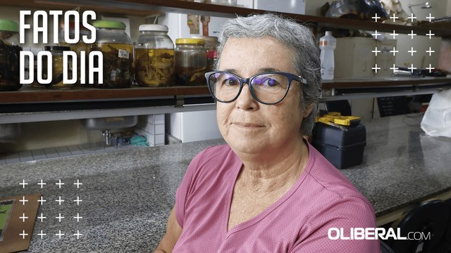 Presença de capivaras nos espaços urbanos de Belém cresce e acende alerta para os cuidados