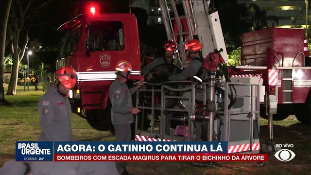 Veja imagens de lixo espacial no céu de Brasília