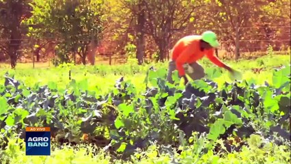 Giro Brasil: brasileira Mariangela Hungria ganha "Nobel" da agricultura mundial