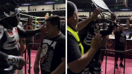 L.A. Park. pierde el control y termina golpeando a un aficionado