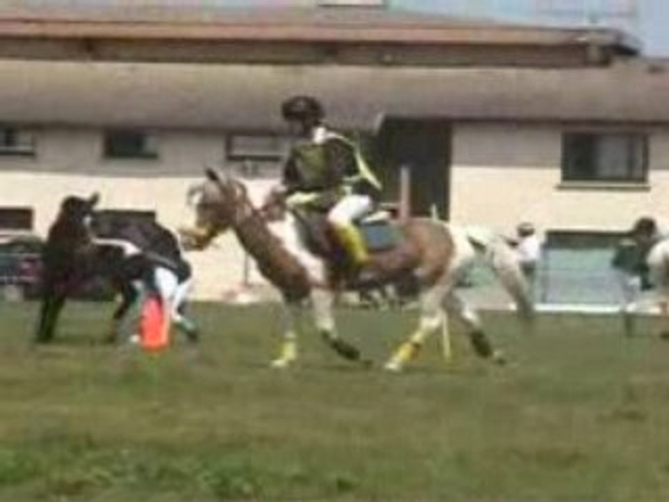 Ball et cone 4/05/08 CADET 2