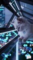 Cats in the Year 3000 Guardians of Space