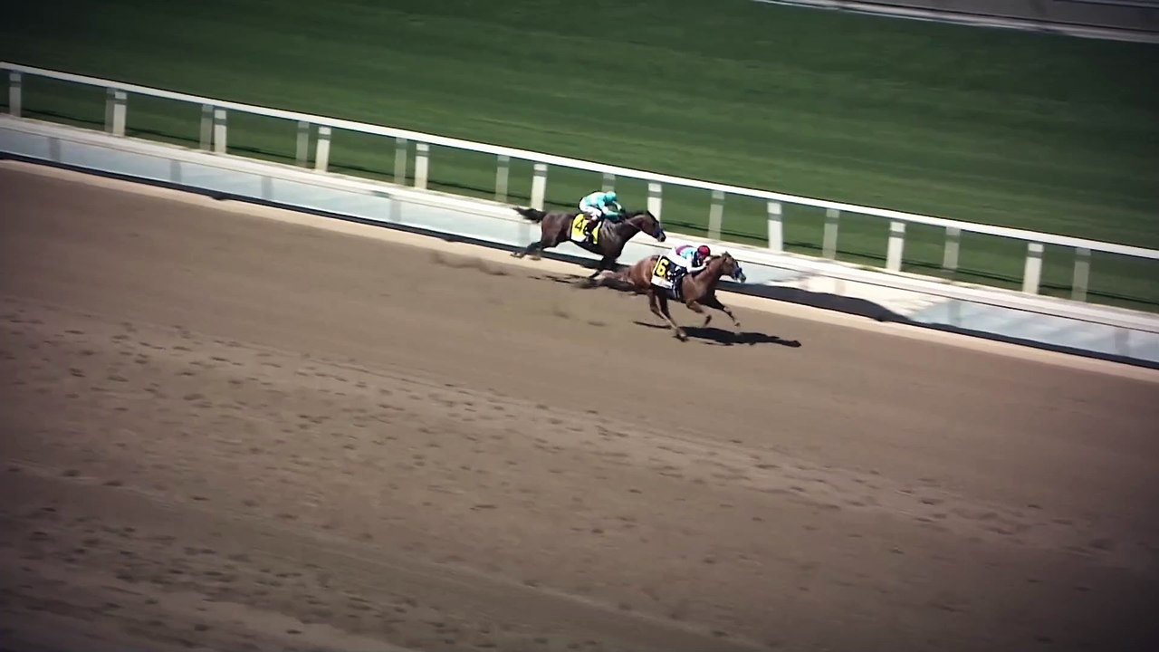 Spendthrift - Taiba 2