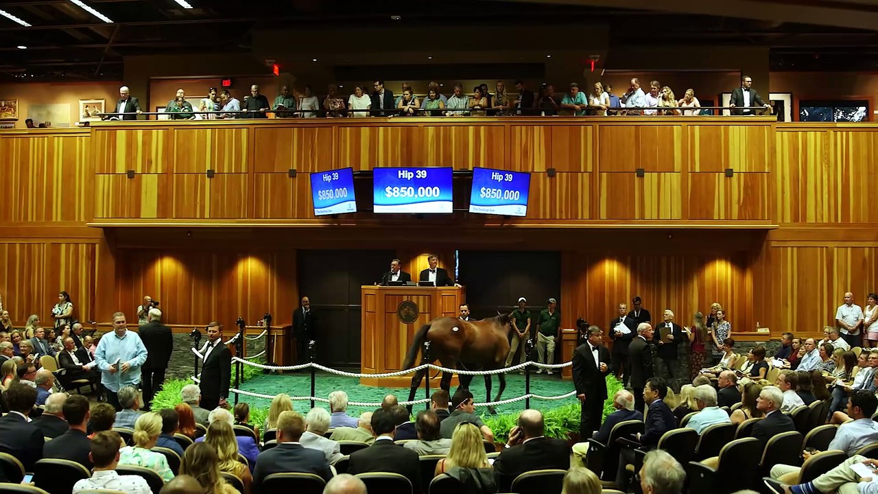 Fasig-Tipton - Evergreen 2
