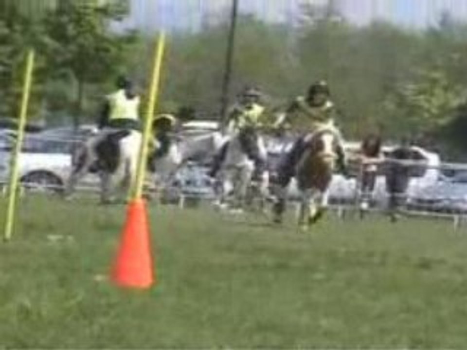 5 Drapeaux 4/05/08 cadet2