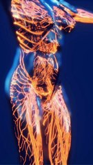 Top 5 Amazing Human Body Facts That Will Surprise You!