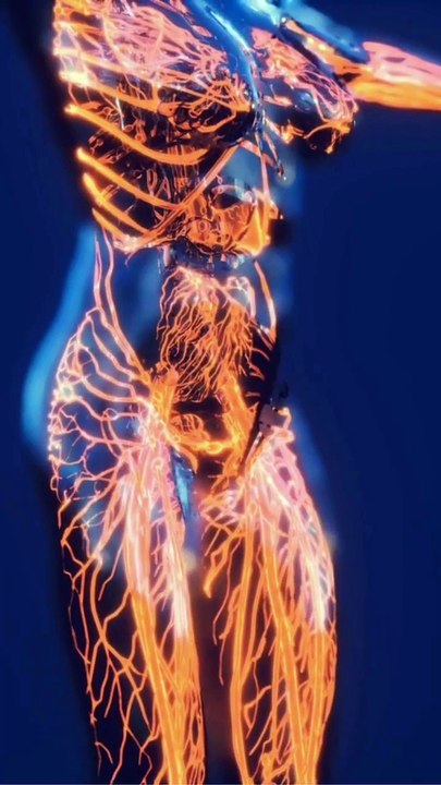 Top 5 Amazing Human Body Facts That Will Surprise You!