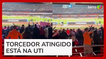Placa de metal despenca em estádio e atinge torcedor durante jogo da Libertadores em SP