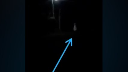 Visagem? Aparição misteriosa aterroriza interior de Vera Cruz, no Paraná  