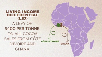 Your Chocolate Addiction is Fueling Child Labor—Here’s How to Stop It