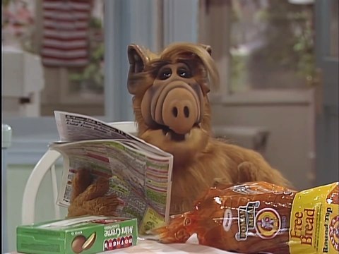 Alf - 309 - Alone Again, Naturally [couchtripper][U]