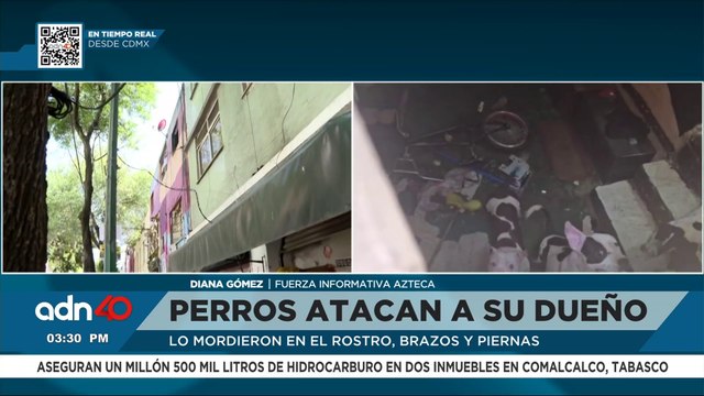 Siete perros Pitbull atacan a su dueño. Lo mordieron en el rostro, brazos y piernas
