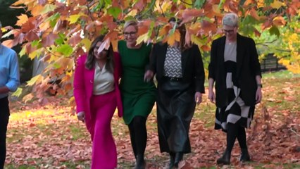 Larissa Waters chosen as new Greens leader