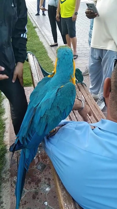 DUBAI PARK WITH BIRDS