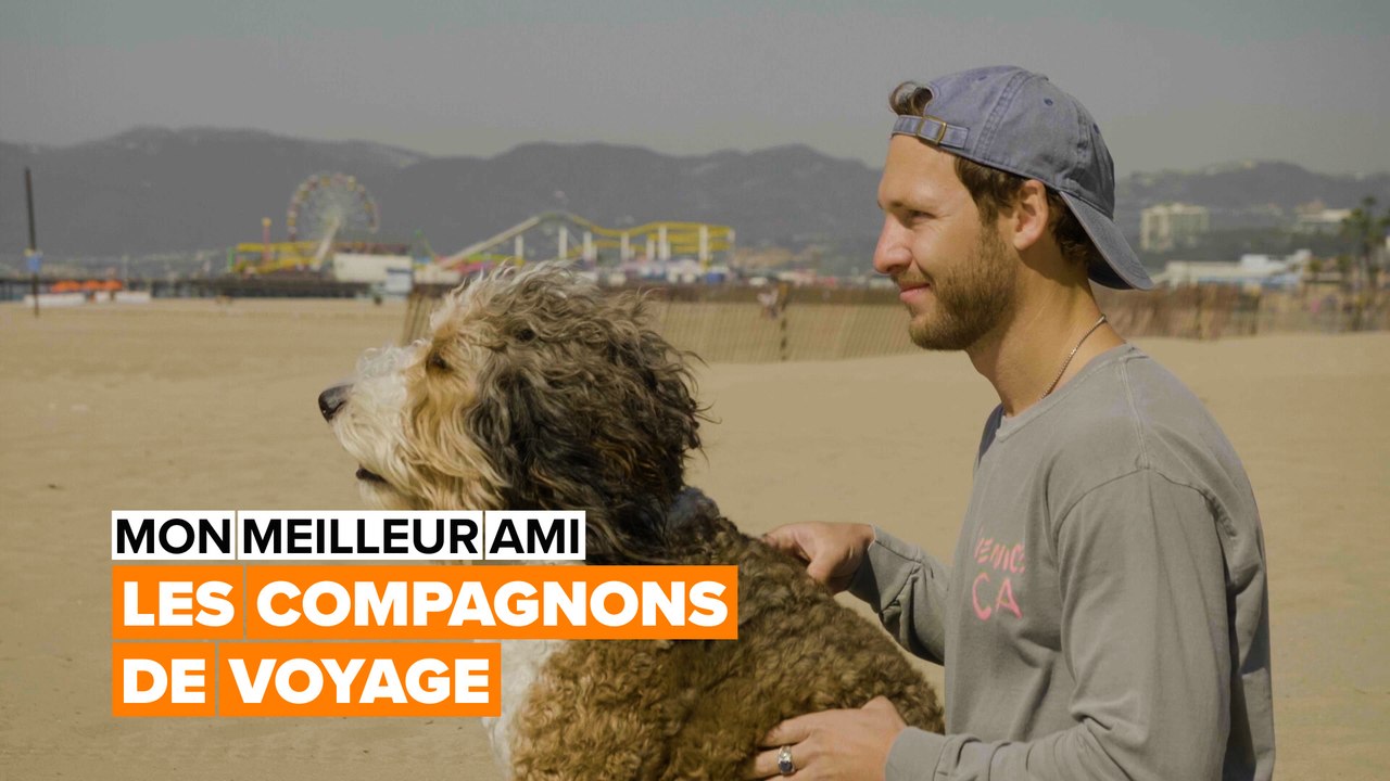 Mon chien est mon âme sœur