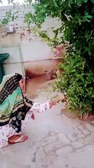 ghar main baat chale Reels #villagelife #unfrezzmyaccount #formingvilage #shortvideo #shortreel  @queengirl-31 ​
