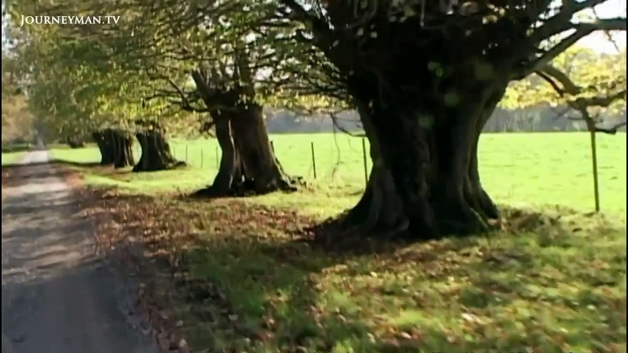 The Other Irish Travellers | movie | 2012 | Official Trailer