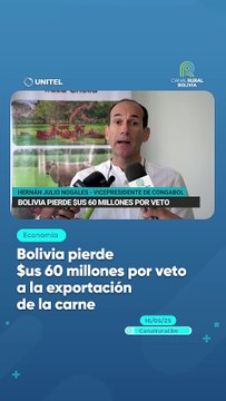 Bolivia pierde $us 60 millones por veto a la exportación de la carne