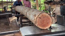 Professional Technique for Cutting Wood 2x20 with a Sawmill Machine