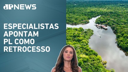 Bioeconomia na Amazônia atrai investimentos públicos e privados; Patricia Costa avalia