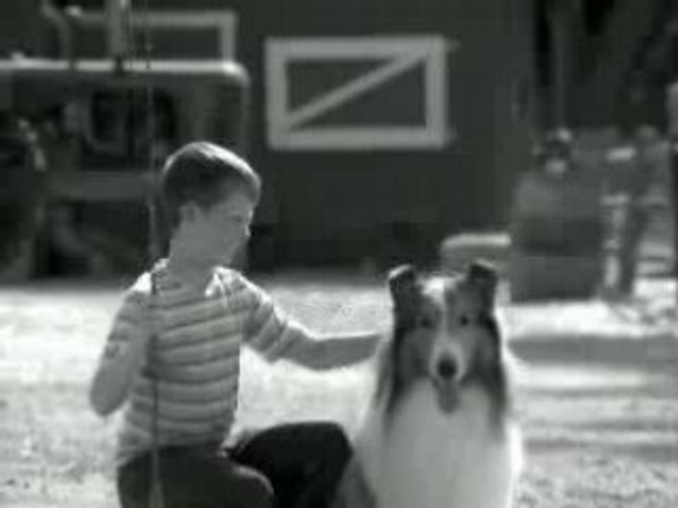 Lassie , un bon chien chien !