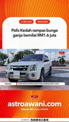 Polis Kedah rampas bunga ganja bernilai RM1.6 juta