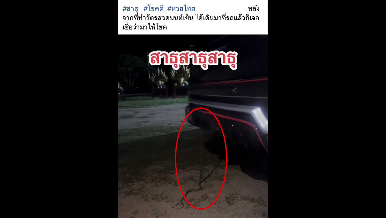 ขนลุกแรงมาก! เพิ่งสวดมนต์เสร็จ เจองูเลื้อยขึ้นรถ ส่องเลขทะเบียน