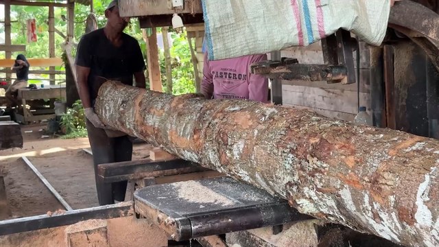 Quick and Safe Tips for Sawing Wood 2x20 with a Sawmill