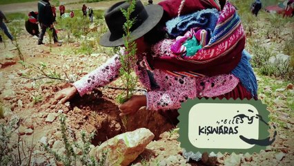 TERRITORIO GEEK- Los GOLDEN GLOBES