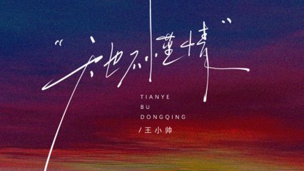 王小帥-天也不懂情『好夢易醒易醒是好夢留不住轉眼成煙雲我問天呀天呀不應我』#王小帥 #天也不懂情 #翻唱【動態歌詞/Lyrics Video】