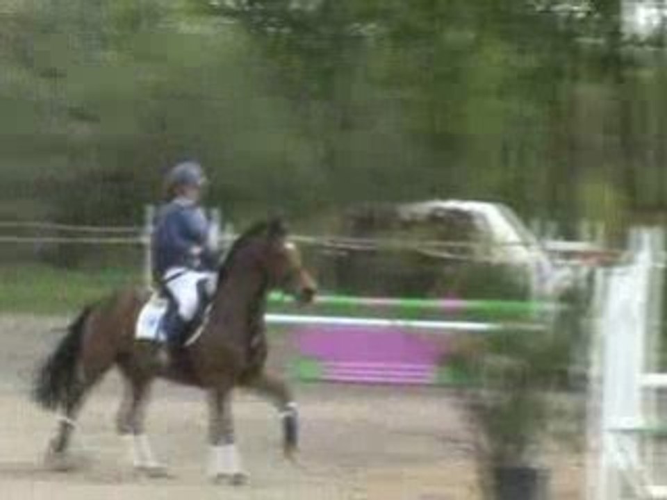 CSO C2P - Ecrin-de-Hunière - Ligny-le-Ribault,  2008