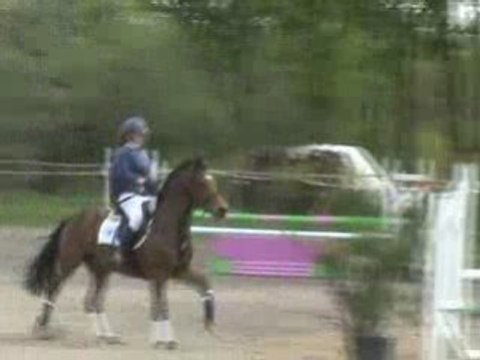 CSO C2P - Ecrin-de-Hunière - Ligny-le-Ribault, 2008